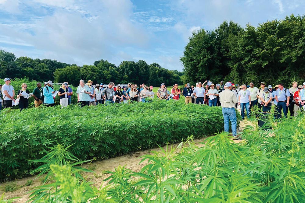 Global Fiber Hemp Textile Summit attendees tour research fields at NC State University.