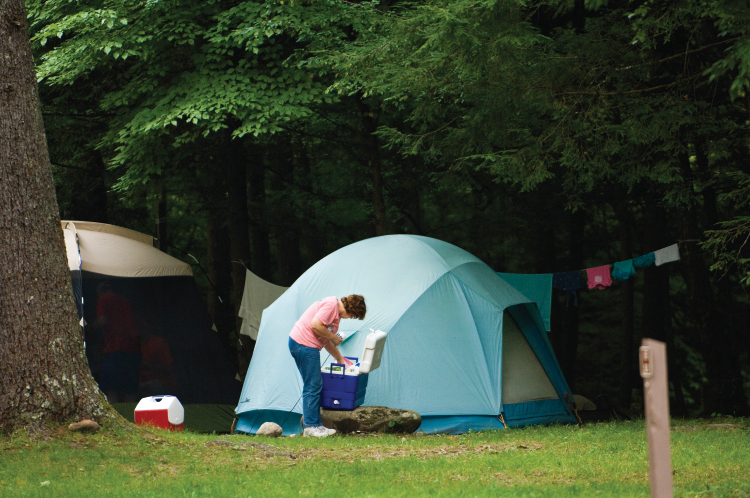 Find camping destinations and read advice for landowners opening up their p...