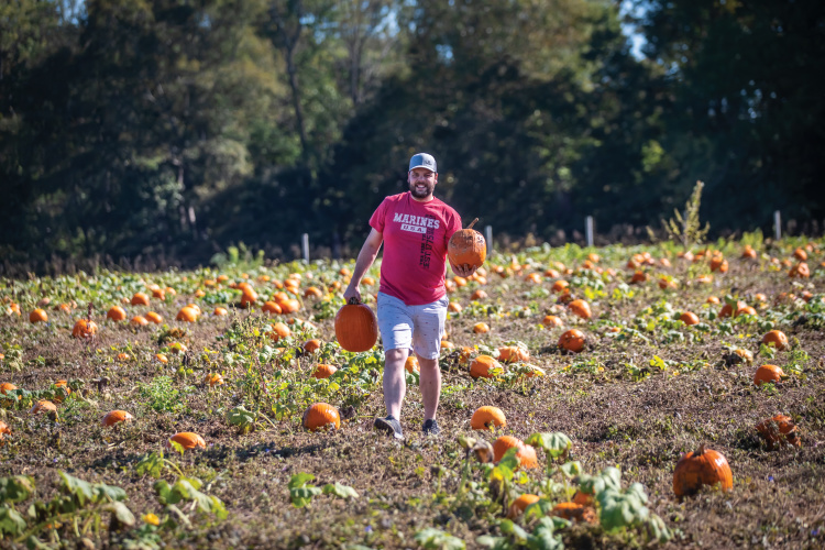 pumpkin field