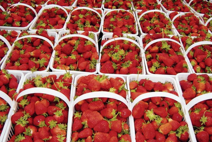 strawberries