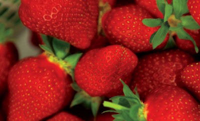 N.C. Strawberries
