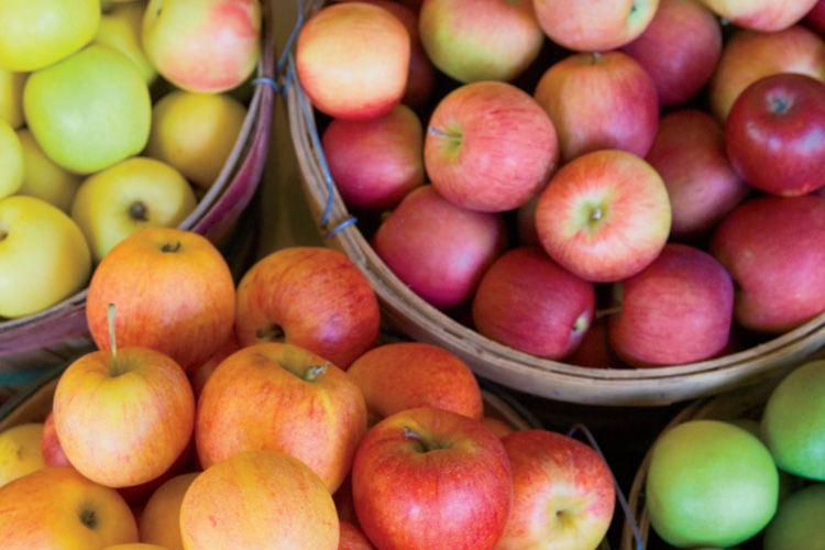 October events North Carolina