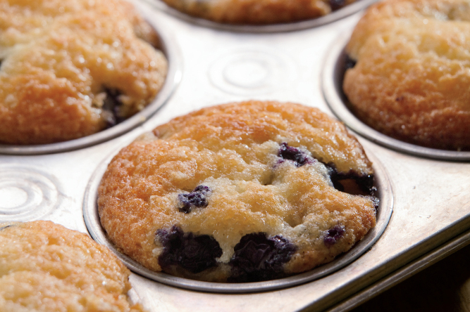 Dolly's Blueberry Muffins