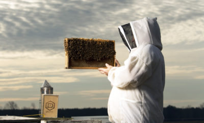 Farmers and Beekeepers