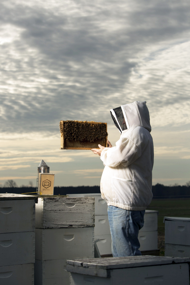 Farmers and Beekeepers