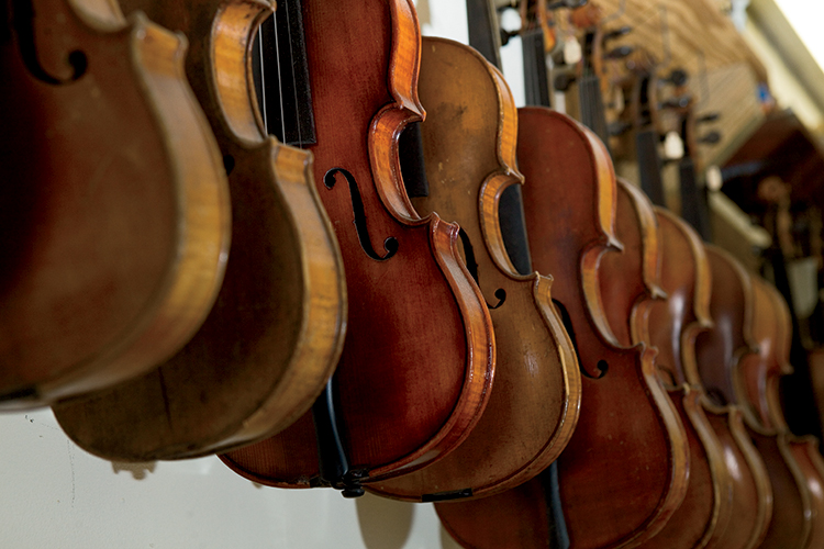 Montgomery Violins