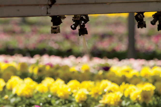 smart farms irrigation