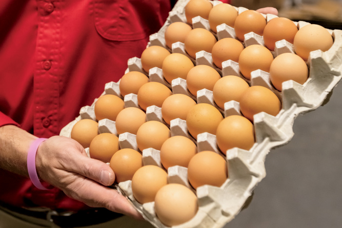 Braswell Family Farms