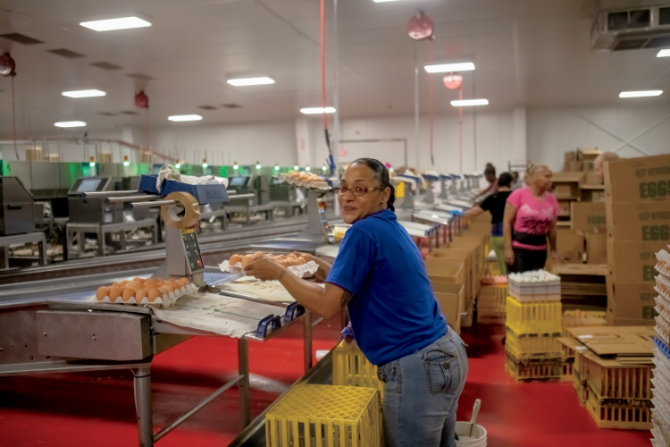 Braswell Family Farms