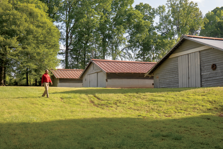 Braswell Family Farms