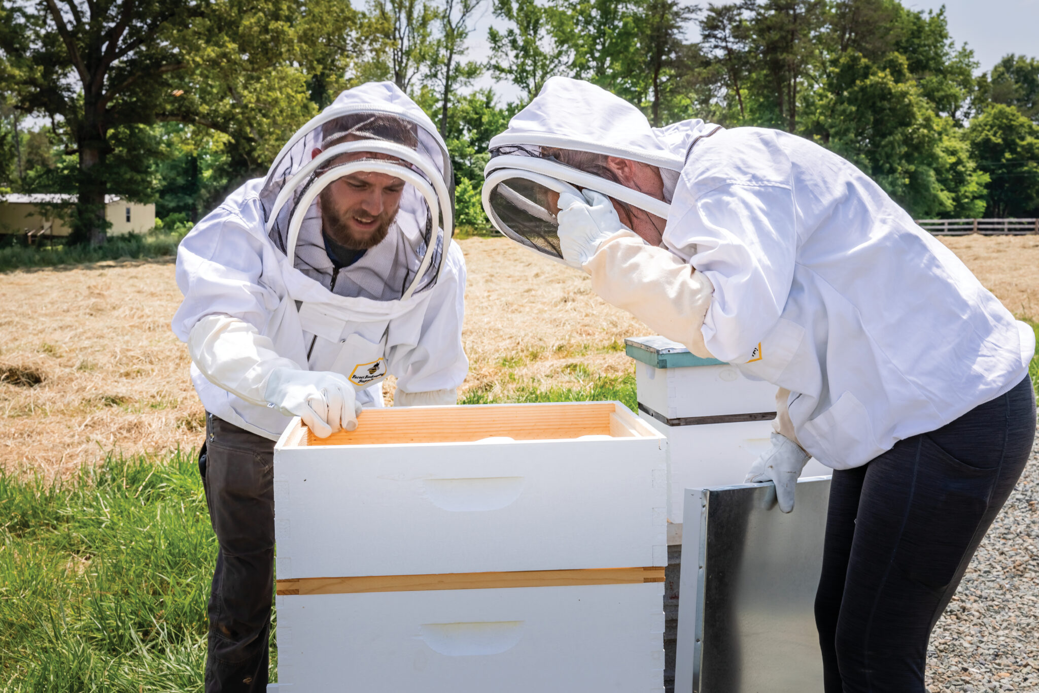 why-do-some-farmers-use-gmos