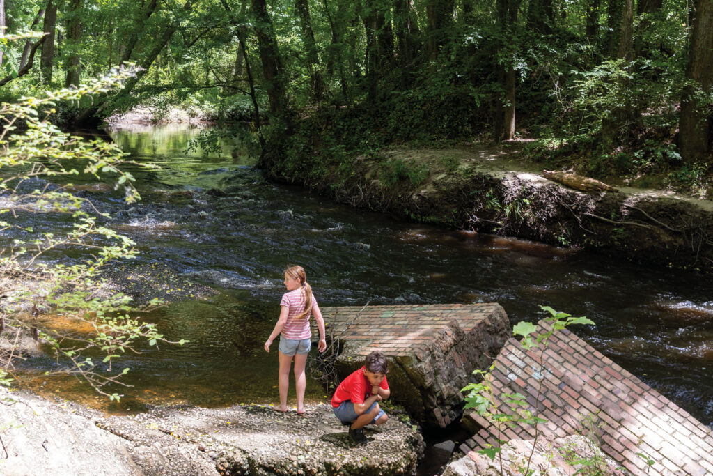 Hitchcock Creek Blue Trail & Greenway in Richmond County