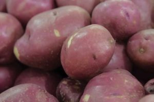 North Carolina potato facts