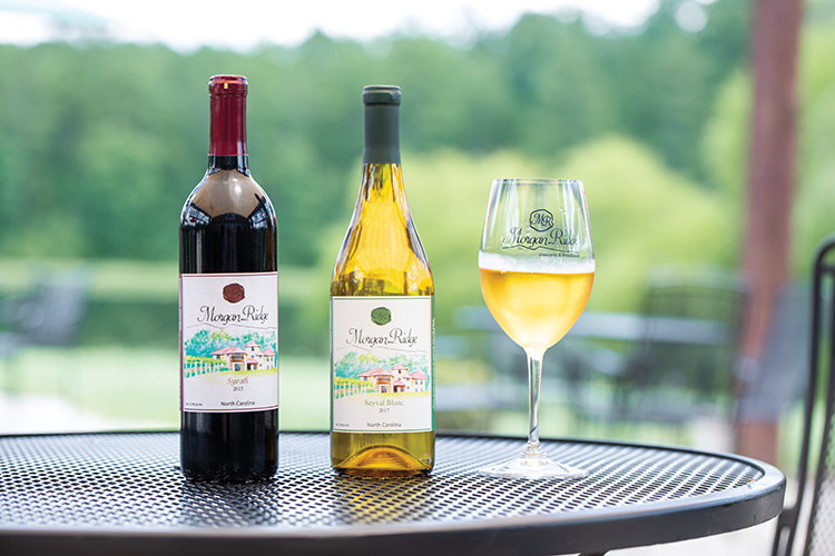 Morgan Ridge Vineyards; Stanly County North Carolina