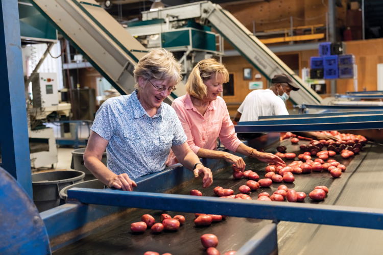 North Carolina Potatoes