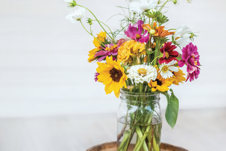 North Carolina flower farms