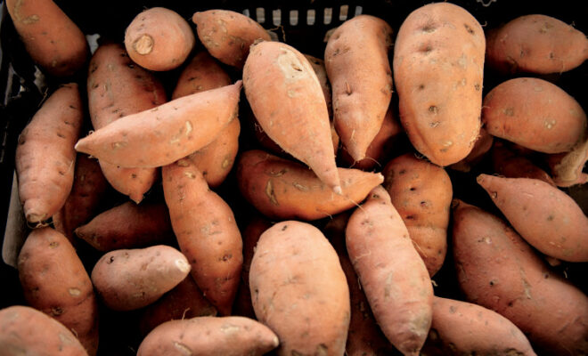 sweetpotatoes