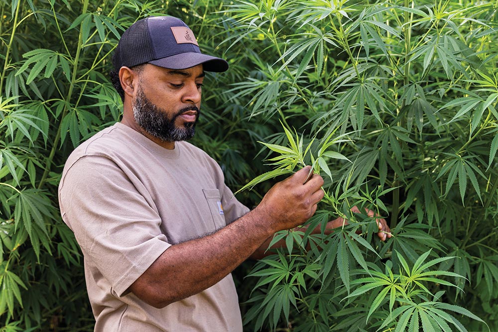 Patrick Brown grows fiber hemp in Warren County.