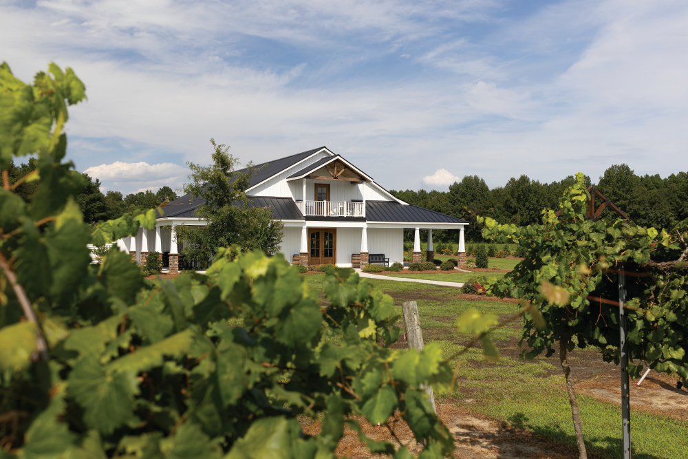 Twisted Vines Vineyard has been inviting the public to pick their own grapes for the past decade.