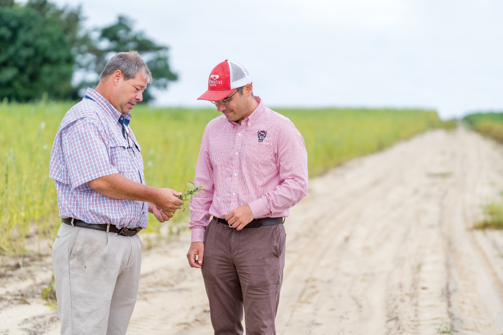 Goldsboro farmer Chris Neal connected with David Suchoff, assistant professor and alternative crops specialist at NC State University, to add sesame as a rotation crop on his farm.