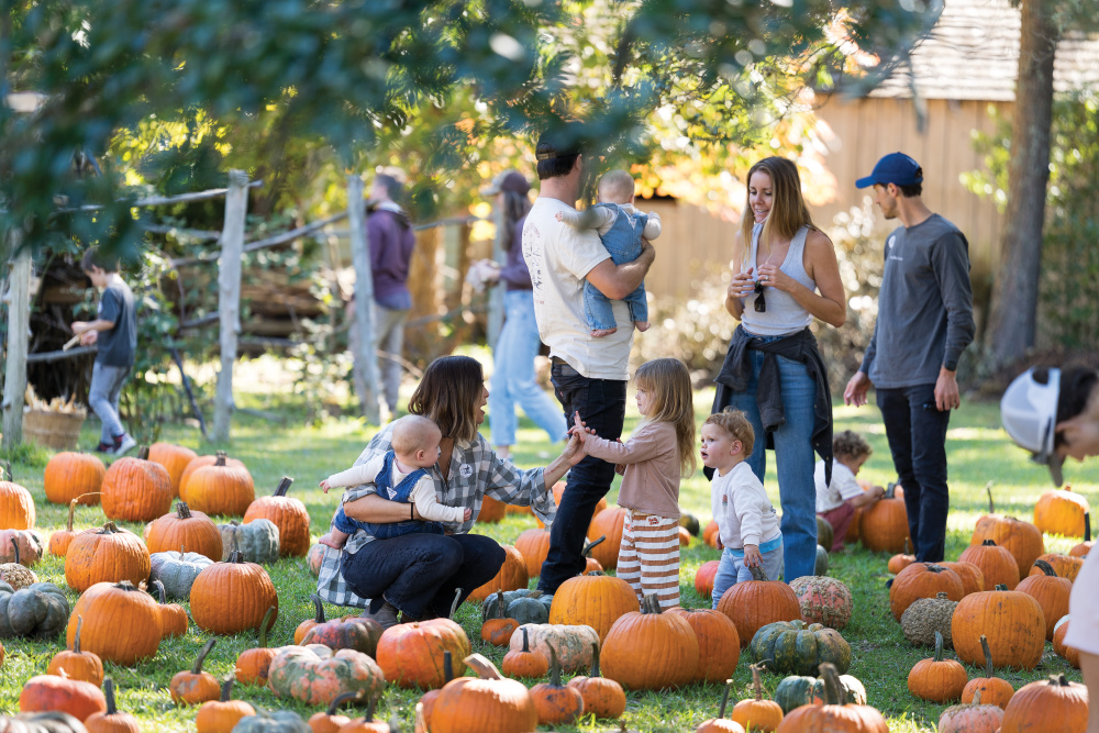 Island Farm on Roanoke Island