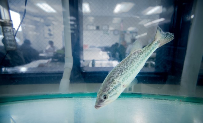 North Carolina Aquaculture