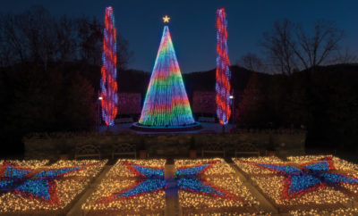 North Carolina Arboretum holiday lights