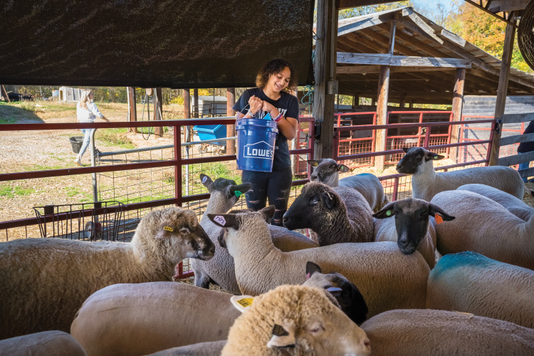 West Rowan High School FFA in Mount Ulla