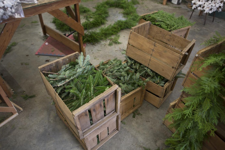 Sanderson Wreaths and Garland