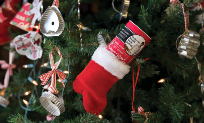 Photo by Justin Kase Conder/Journal Communications