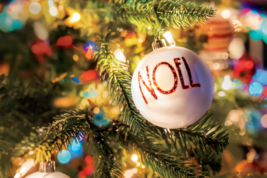 Christmas Lights on the Farm at Big Daddy’s Farms 