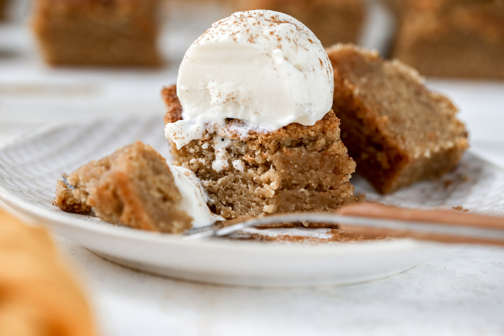 Tailgate recipes; Snickerdoodle Blondie Bites