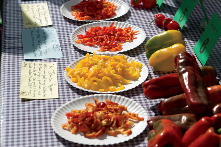 Pepper Festival in Chapel Hill