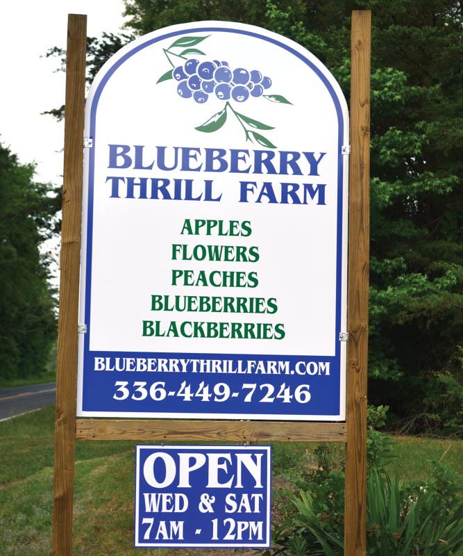 Blueberry Thrill Farm