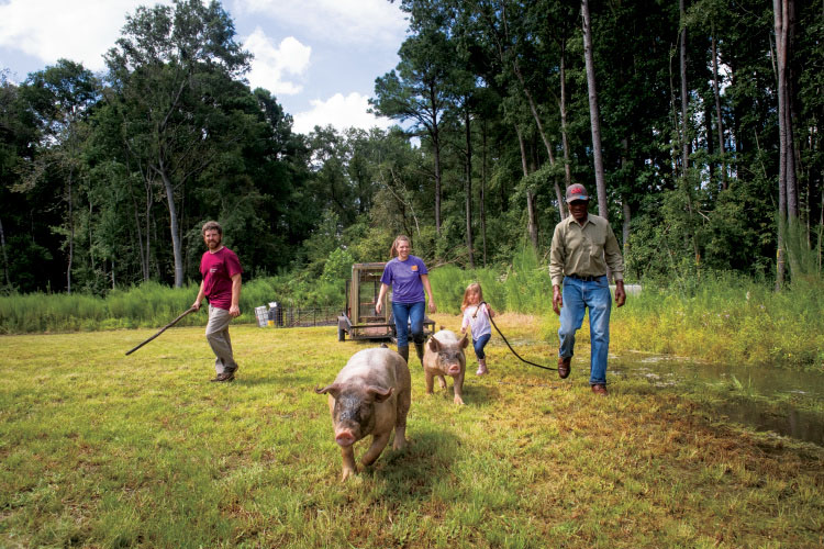 Morgan Meats; first-generation farmers