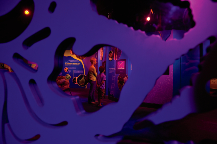 Discovery Place Children's Museum in Charlotte, NC