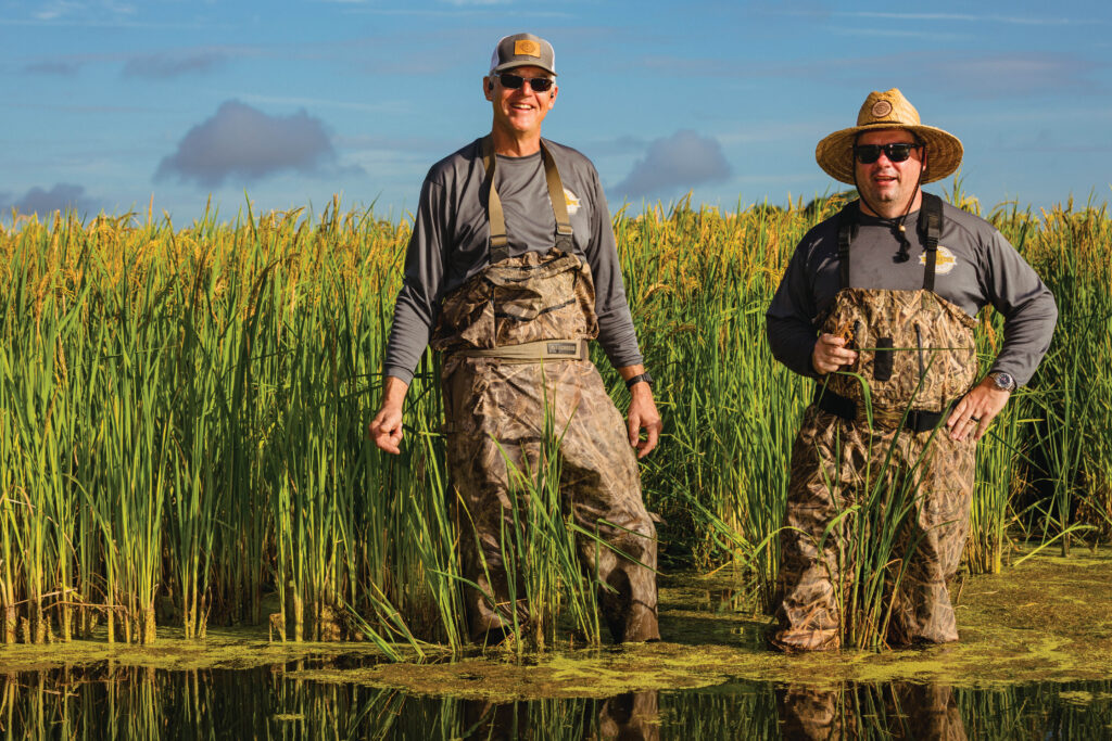 Tommy Wheeler and Al Spruill founded Tidewater Grain Co., which grows Carolina Gold, an heirloom variety of rice.