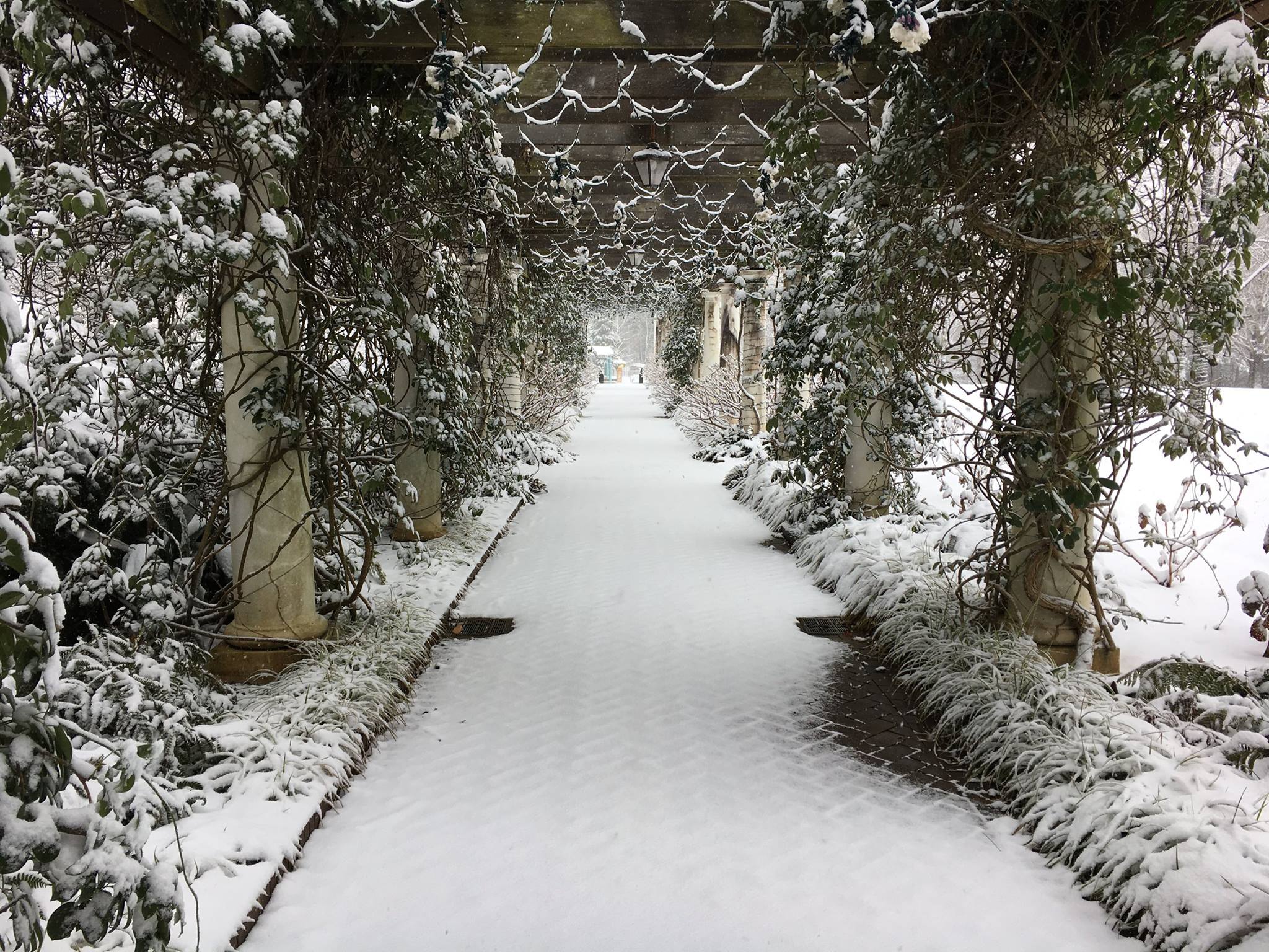 Daniel Stowe Botanical Garden