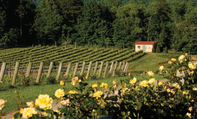 Raffaldini Vineyards