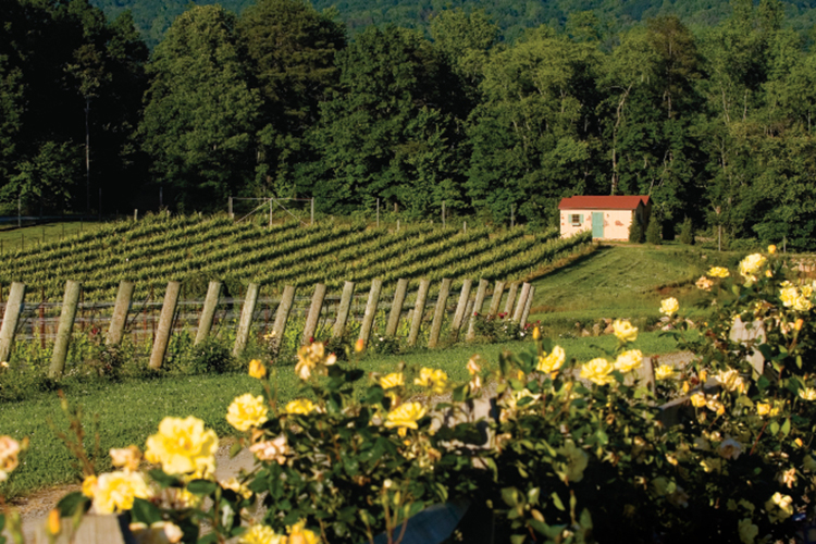 Raffaldini Vineyards