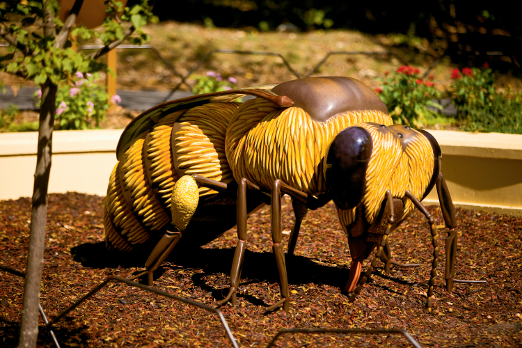 Honey Bee Garden at North Carolina Zoo