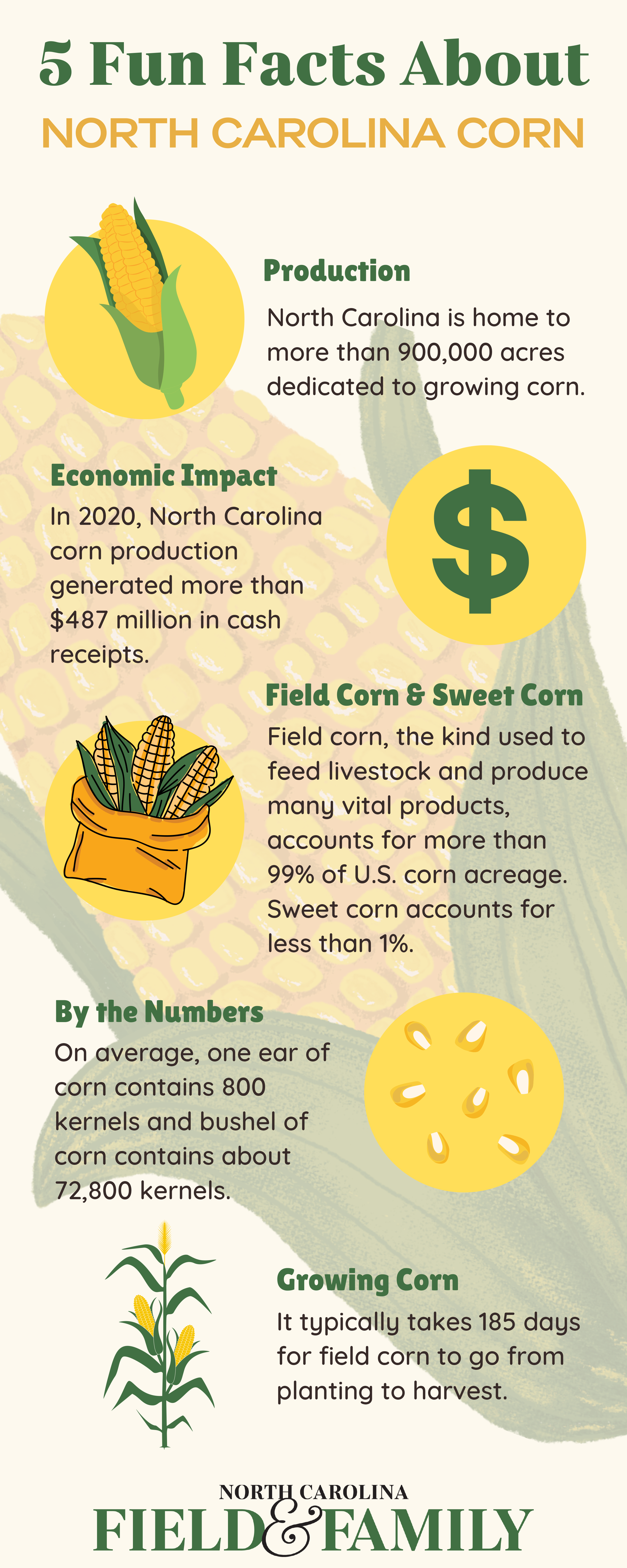 North Carolina corn facts