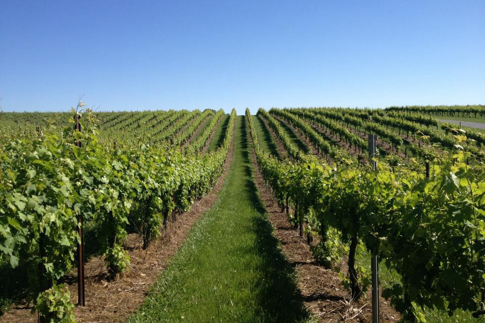 Sanders Ridge Winery