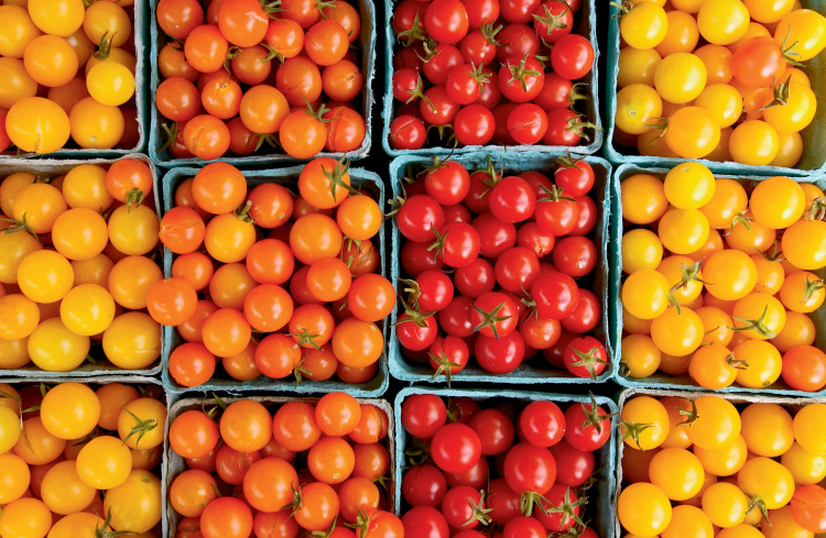 North Carolina tomato facts
