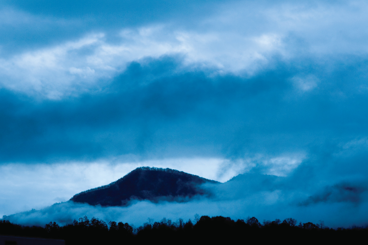 Pisgah National Forest 
