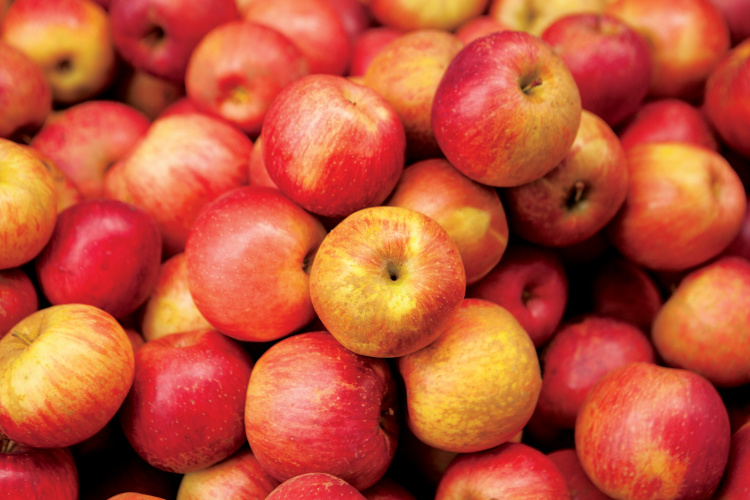 October events North Carolina