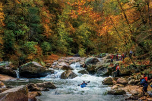 river with fall foliage
