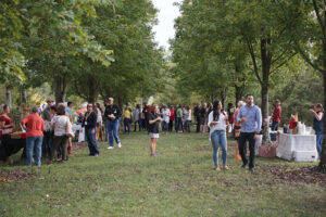Picnic in the Garden