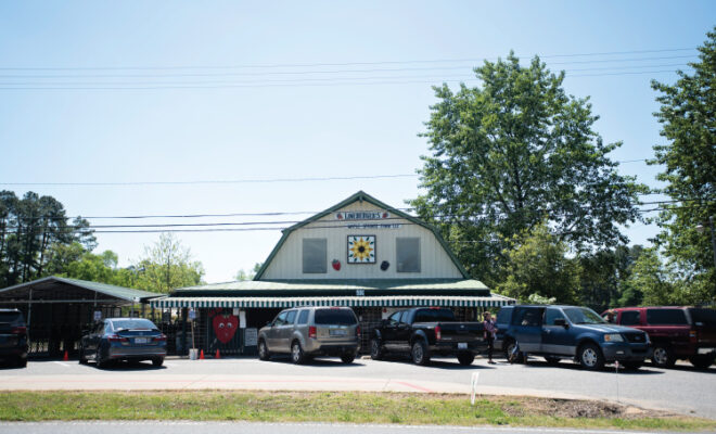 Lineberger’s Maple Springs Farm in Dallas, North Carolina