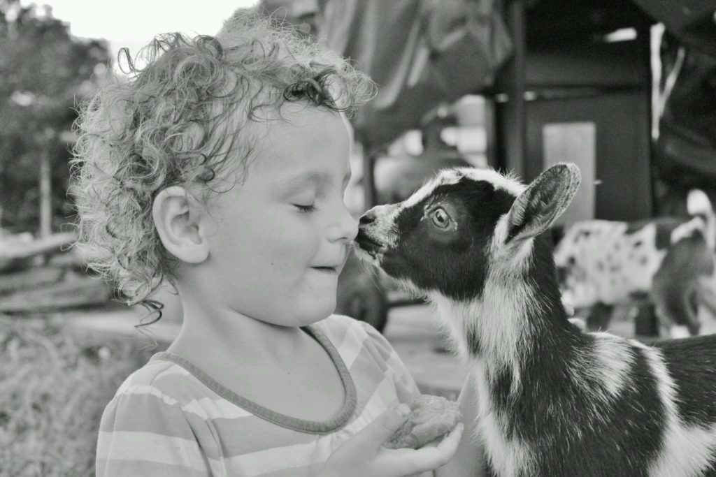 NC Field Family Photo Contest - Farm Families Second